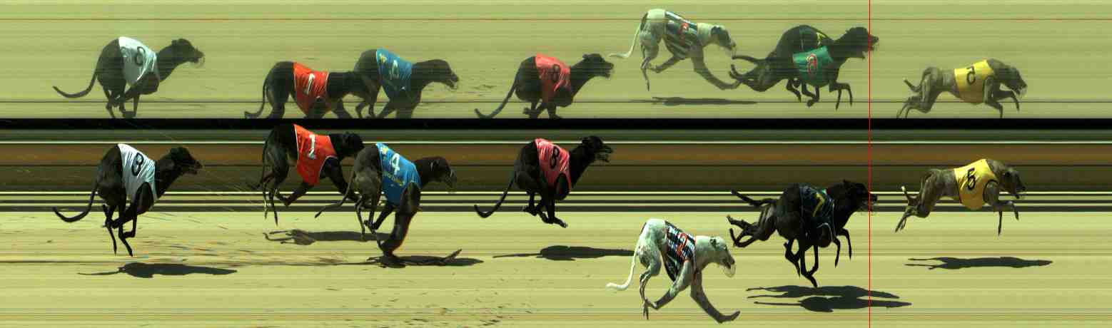 Photo finish for Sale Race 12