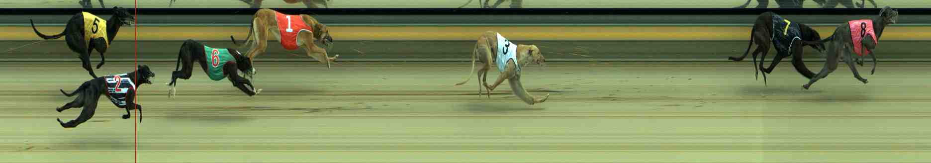 Photo finish for Sale Race 2