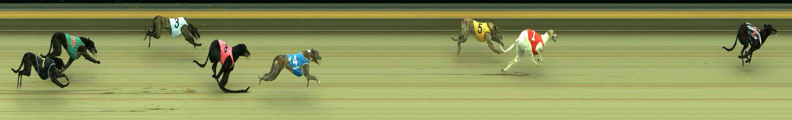 Photo finish for Sale Race 3