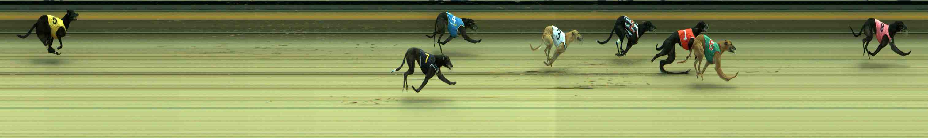 Photo finish for Sale Race 4