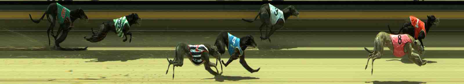 Photo finish for Sale Race 5