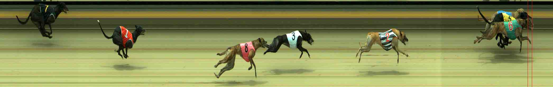 Photo finish for Sale Race 6