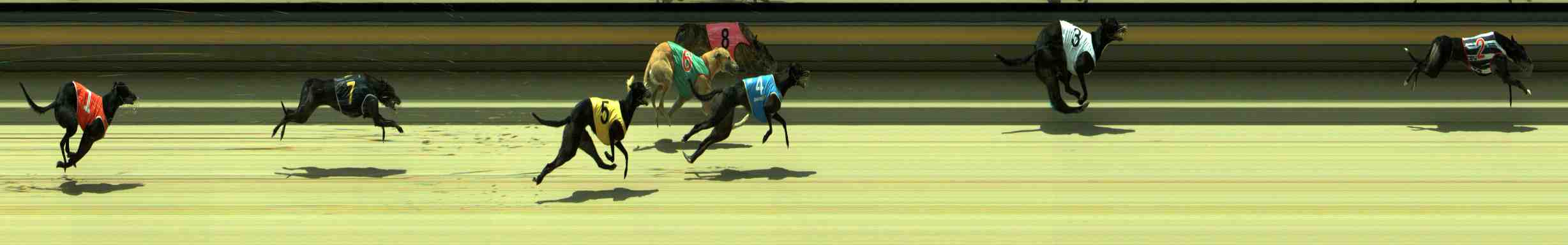 Photo finish for Sale Race 7