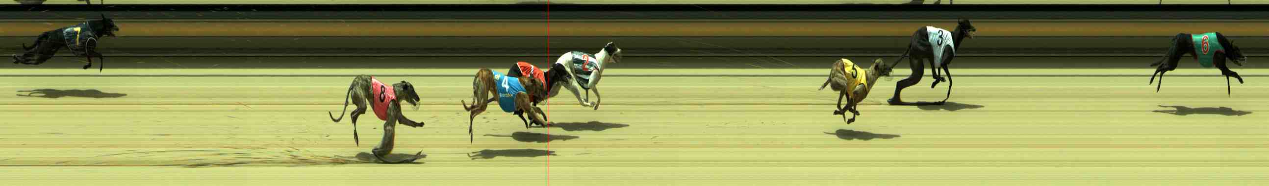 Photo finish for Sale Race 8