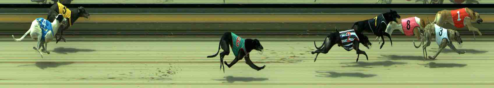 Photo finish for Sale Race 9