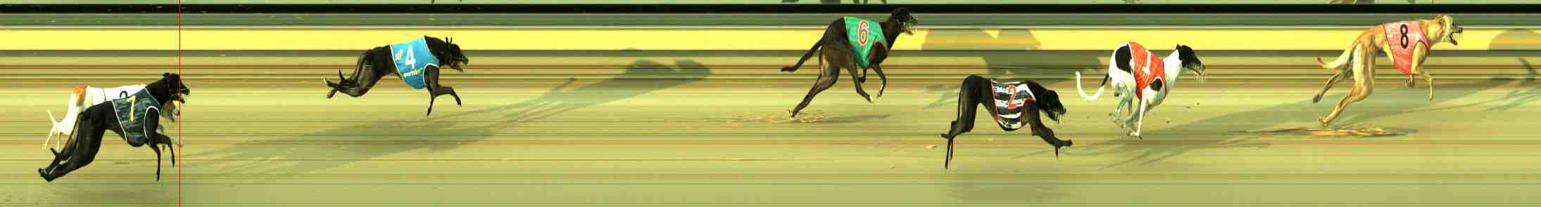 Photo finish for Sale Race 2