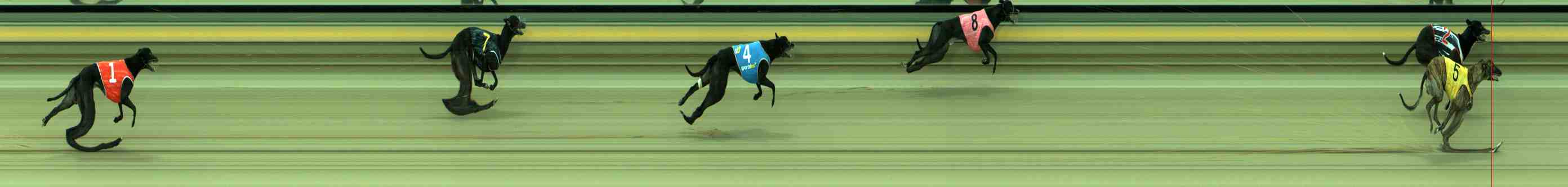 Photo finish for Sale Race 3