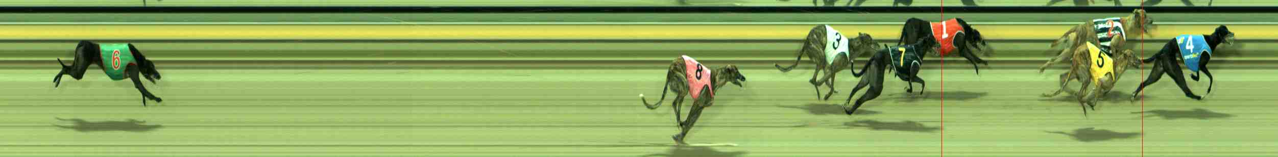 Photo finish for Sale Race 5