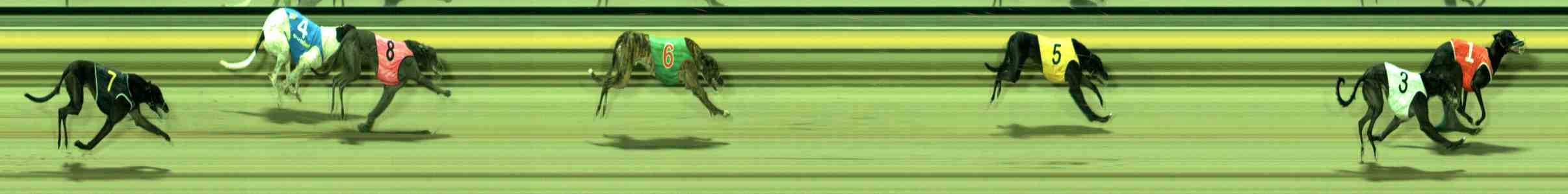 Photo finish for Sale Race 6