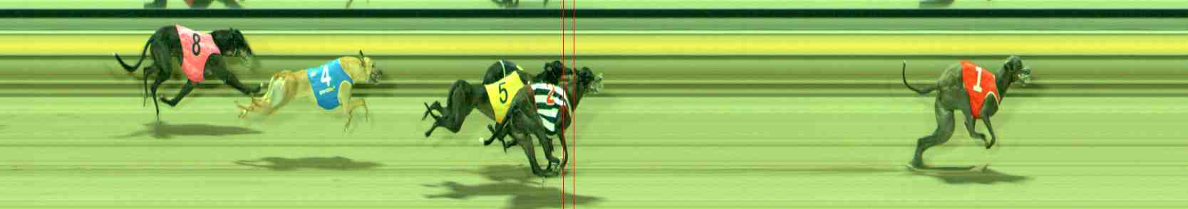 Photo finish for Sale Race 11