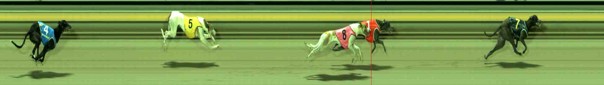 Photo finish for Sale Race 12