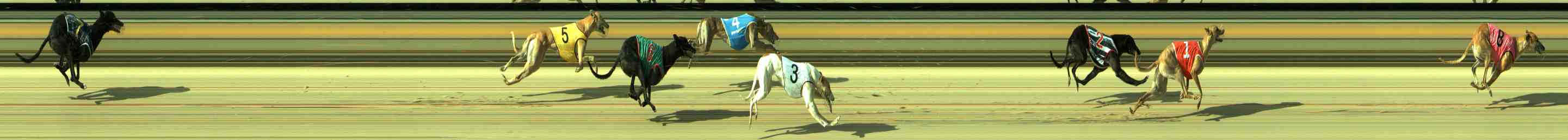 Photo finish for Sale Race 2