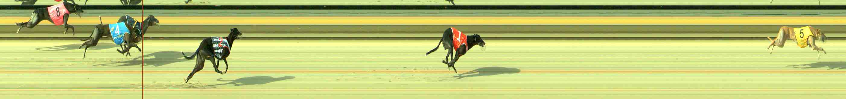 Photo finish for Sale Race 3