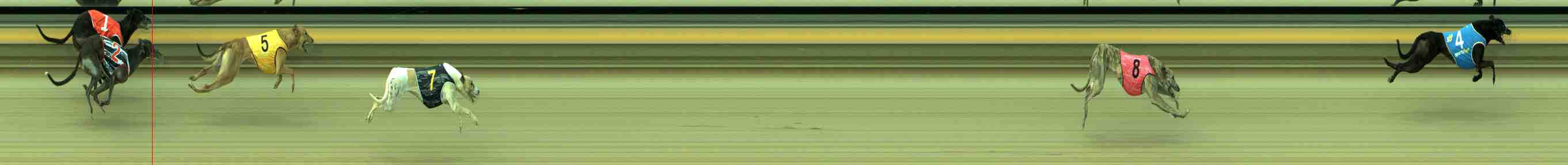 Photo finish for Sale Race 4