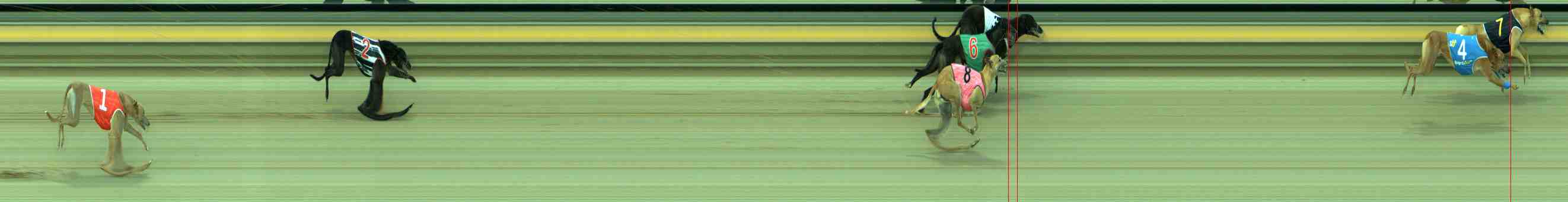 Photo finish for Sale Race 5