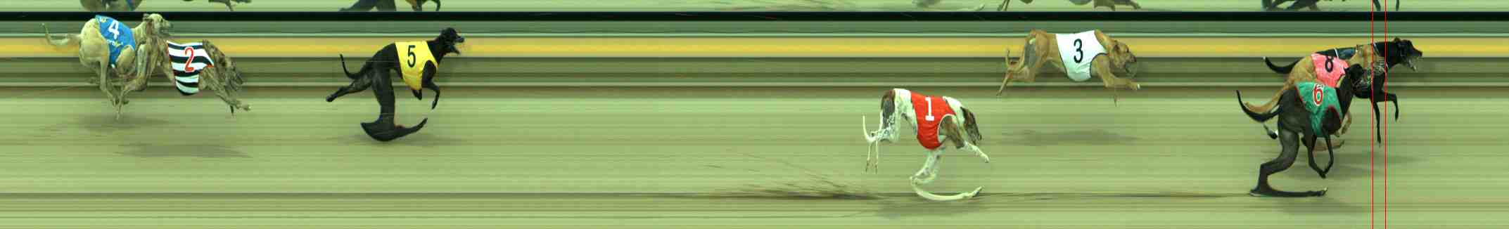 Photo finish for Sale Race 6