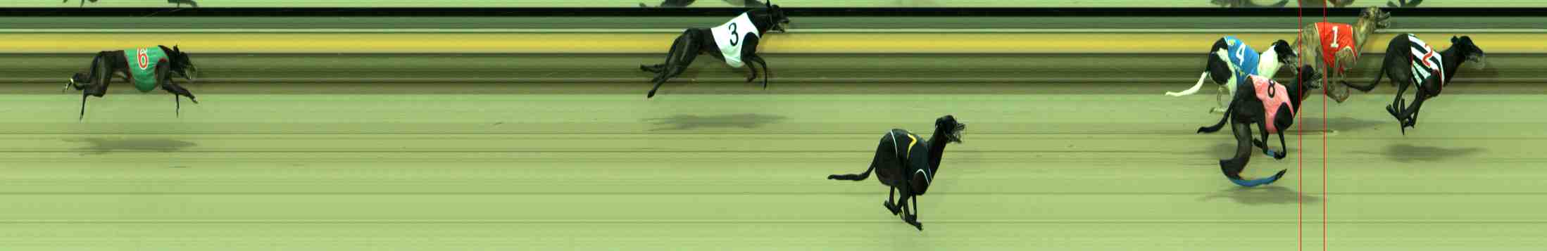 Photo finish for Sale Race 8