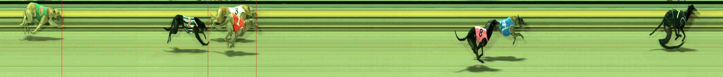 Photo finish for Sale Race 10