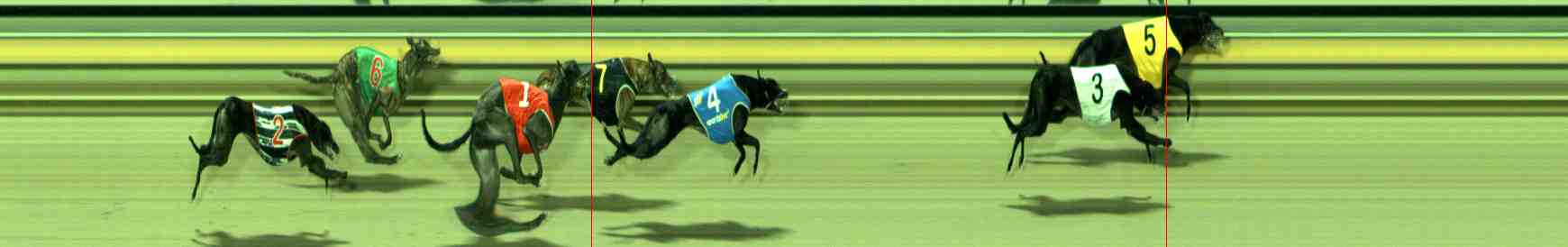 Photo finish for Sale Race 11