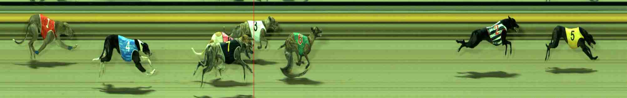 Photo finish for Sale Race 12
