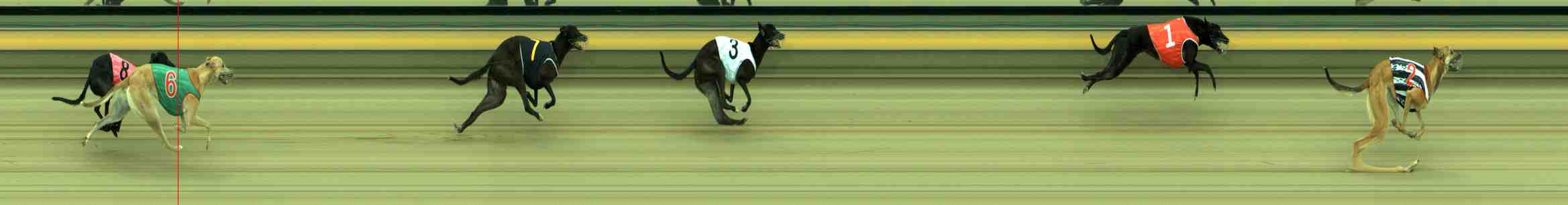 Photo finish for Sale Race 1