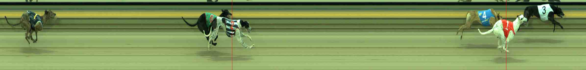 Photo finish for Sale Race 2