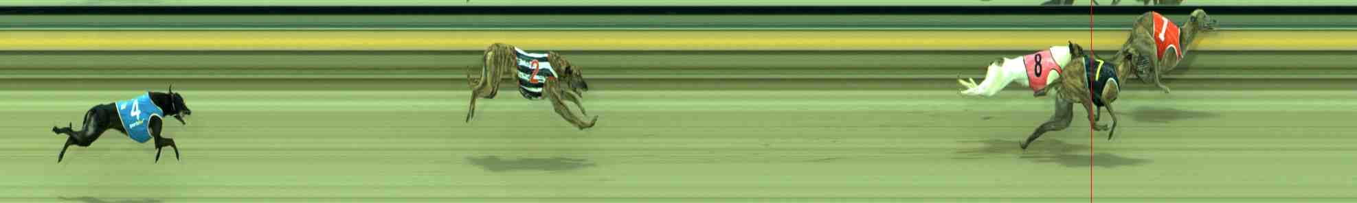 Photo finish for Sale Race 3