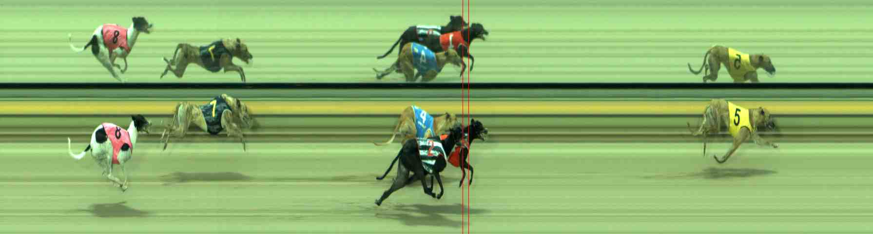 Photo finish for Sale Race 4