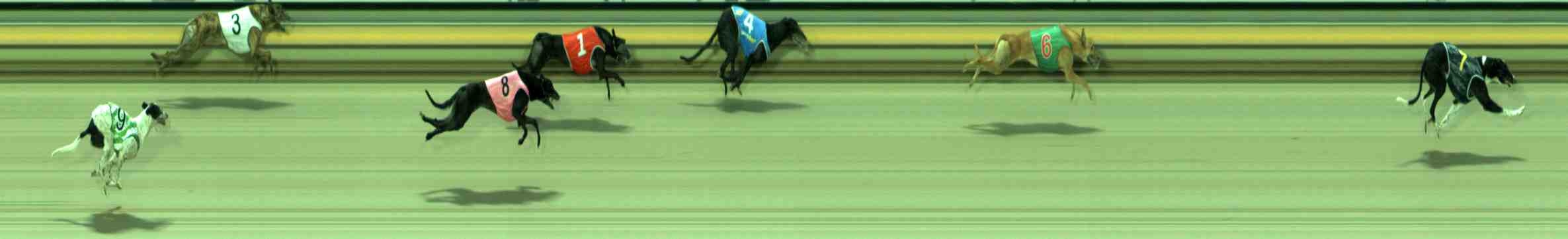 Photo finish for Sale Race 5