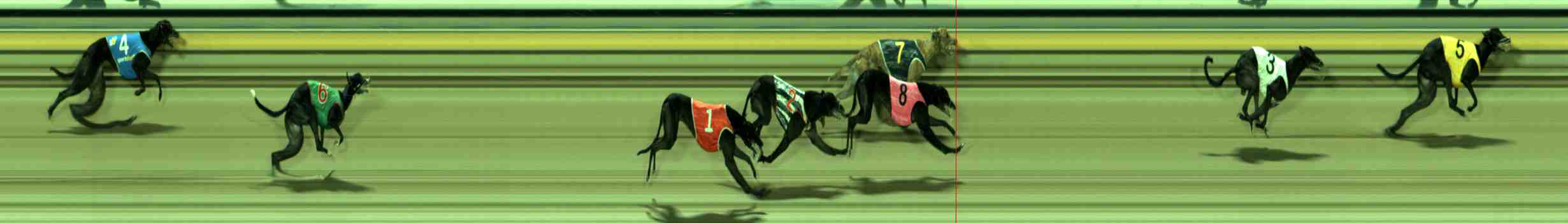 Photo finish for Sale Race 8