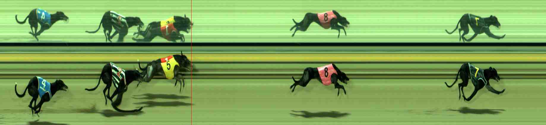 Photo finish for Sale Race 9