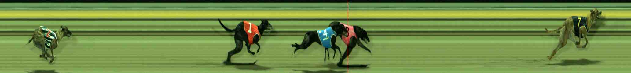 Photo finish for Sale Race 10