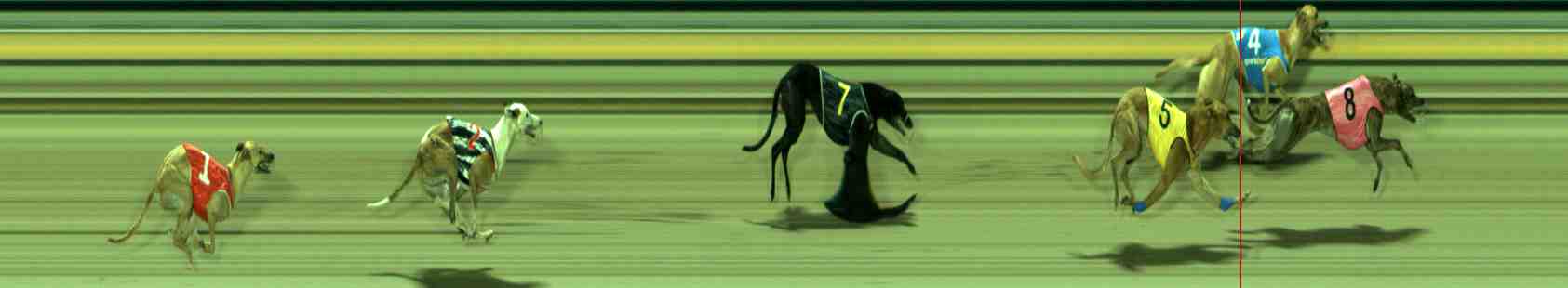 Photo finish for Sale Race 11