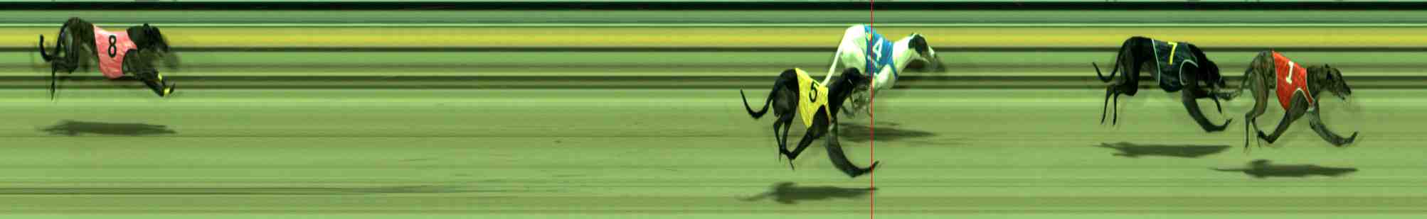 Photo finish for Sale Race 12