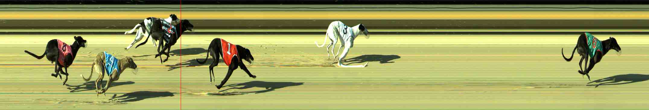 Photo finish for Sale Race 2