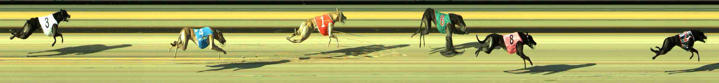 Photo finish for Sale Race 3