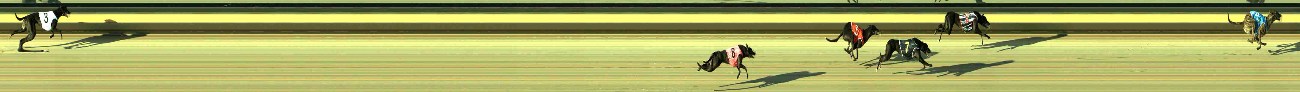 Photo finish for Sale Race 4