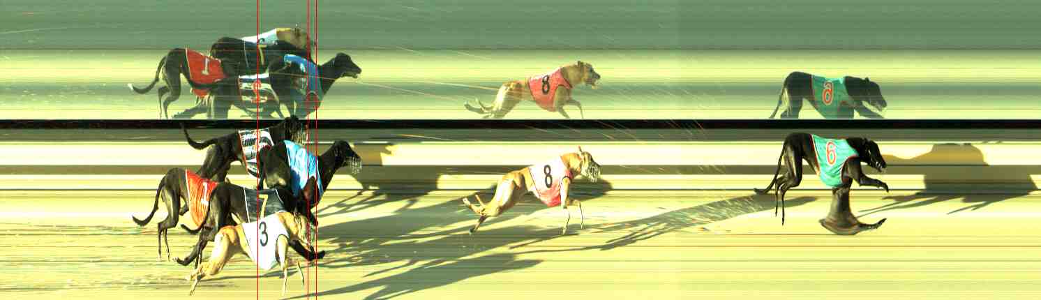 Photo finish for Sale Race 5