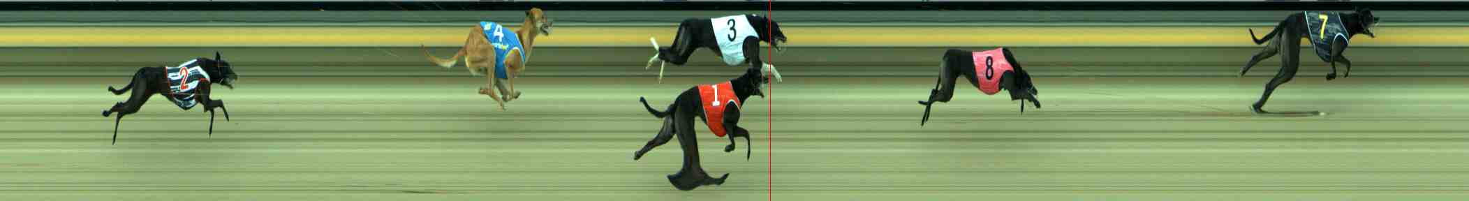 Photo finish for Sale Race 6