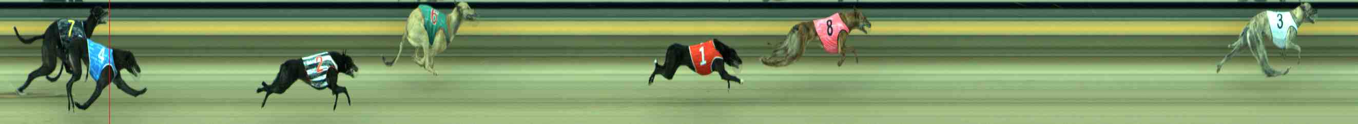 Photo finish for Sale Race 7