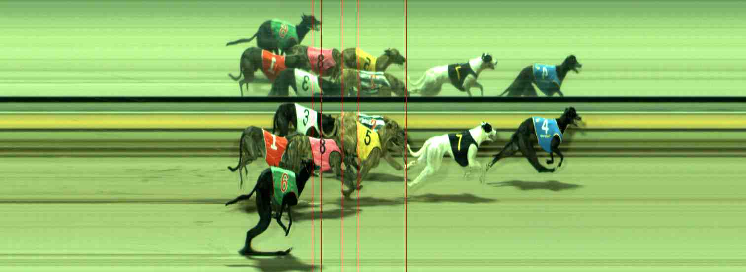 Photo finish for Sale Race 9