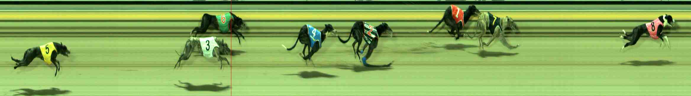 Photo finish for Sale Race 10