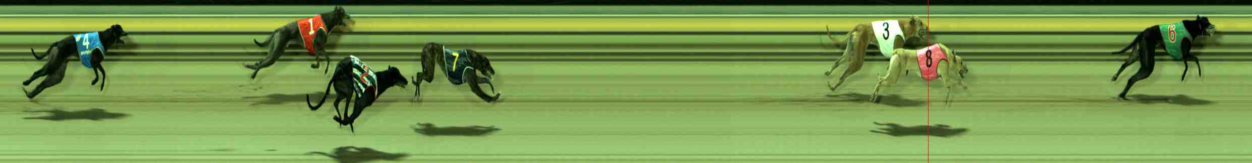 Photo finish for Sale Race 12