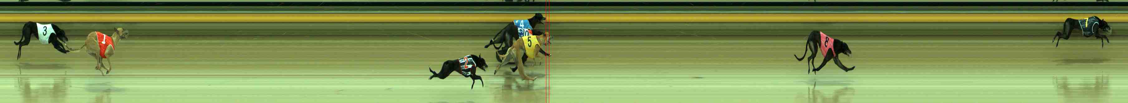 Photo finish for Sale Race 2