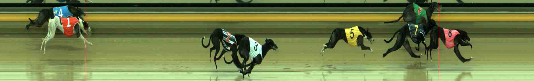 Photo finish for Sale Race 3