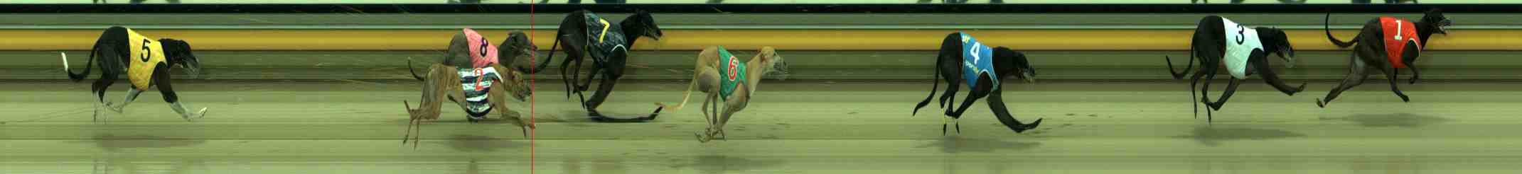 Photo finish for Sale Race 4