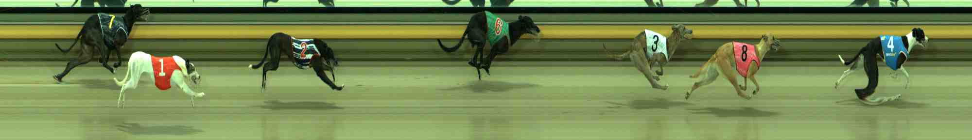 Photo finish for Sale Race 5