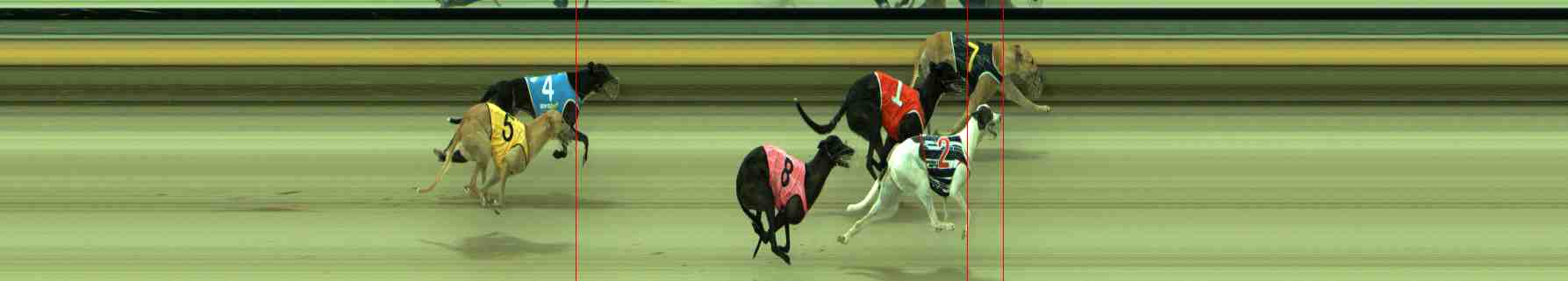 Photo finish for Sale Race 6