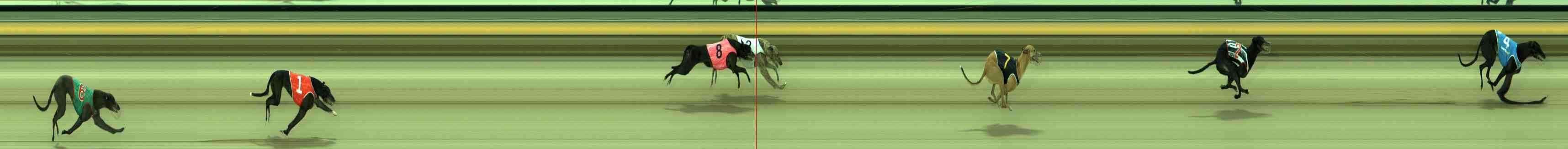 Photo finish for Sale Race 7
