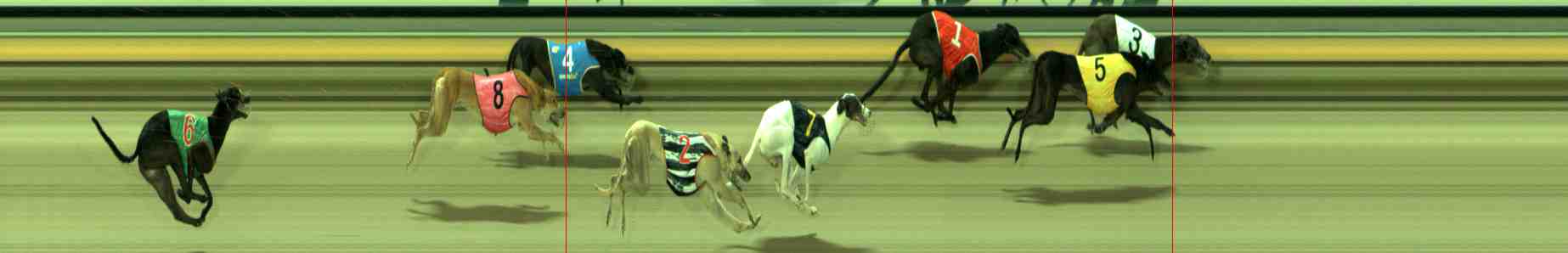 Photo finish for Sale Race 8